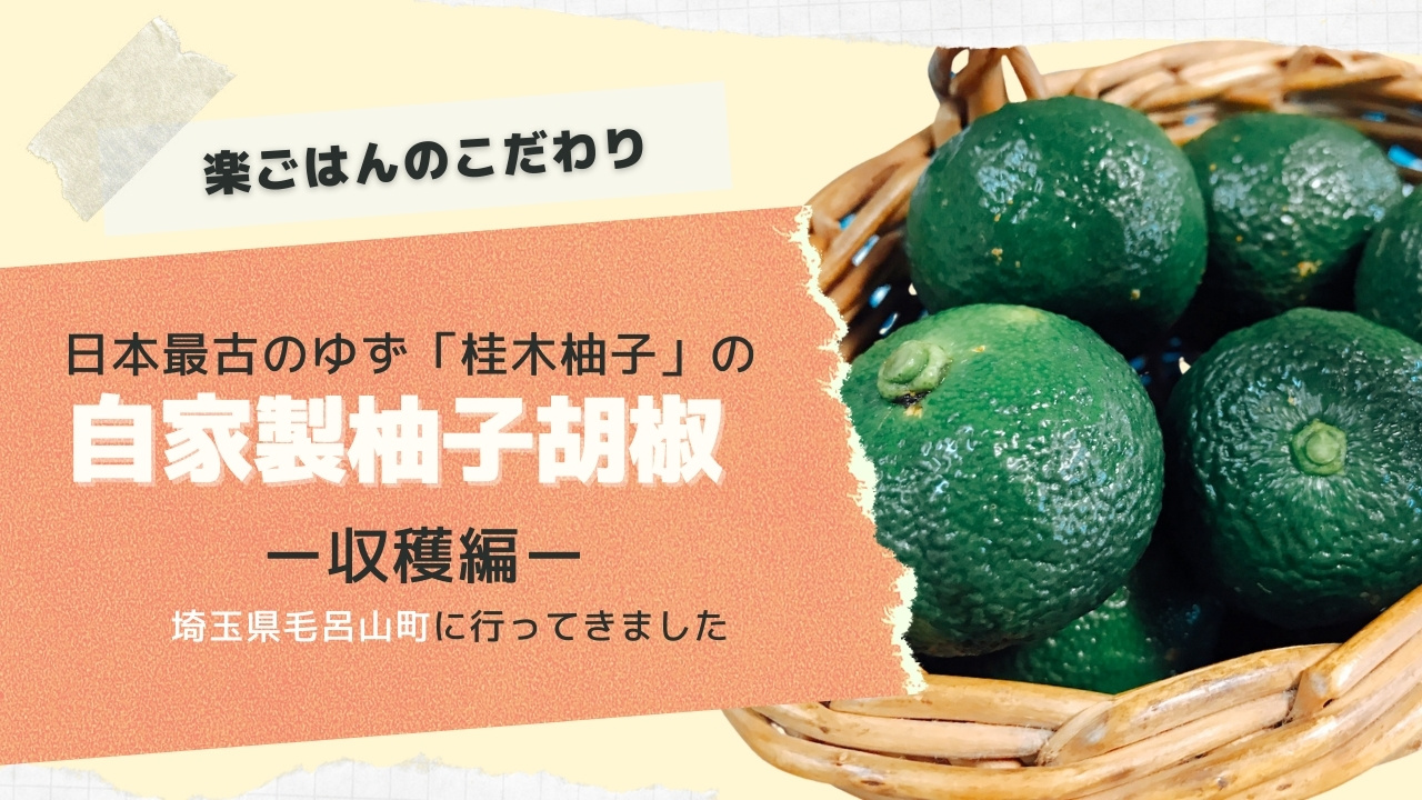 日本最古のゆず「桂木柚子」でつくる自家製柚子胡椒【収穫編】〜楽ごはんのこだわり〜 – モリスギ！