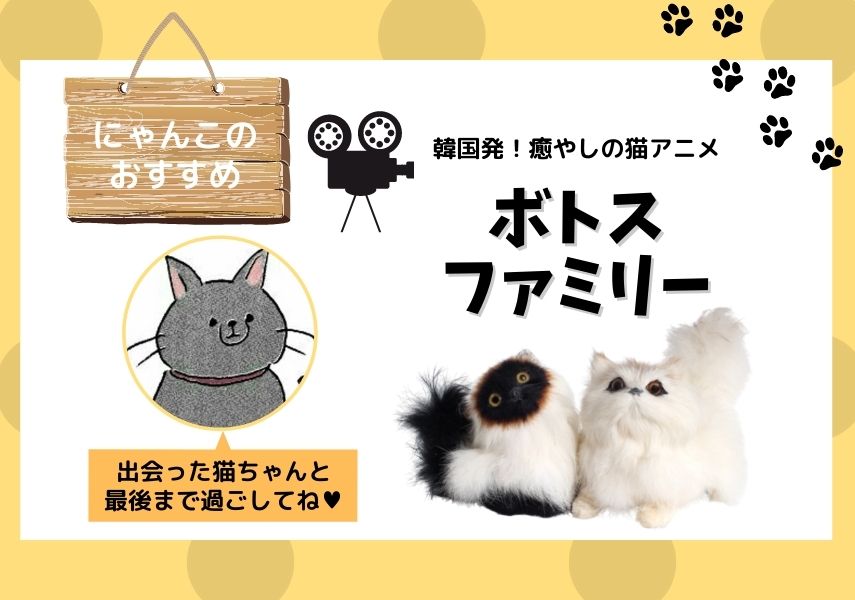 韓国アニメ ボトス ファミリー ストップモーションアニメが表現する猫たちのゆかいで楽しい毎日に癒やされる モリスギ